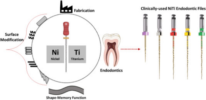 NiTi Wire in Endodontic Treatment